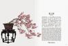 Bonsai Bonsai New Edition