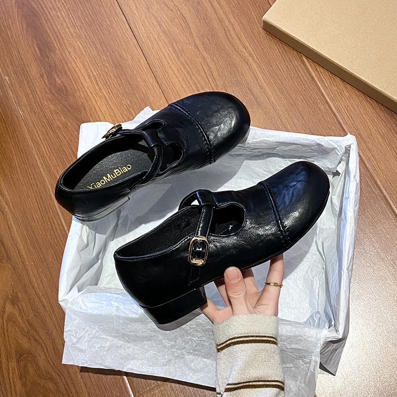 Vintage Mary Jane Square Heel Women's Spring and Autumn Black Joker Small Leather Shoes Thick Heel Dress French Single Shoes