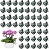 100 Stück Orchideen-Stützklammern, Kunststoff-Orchideenklammern, Gartenranken-Befestigungsklammern, Mini-Pflanzenstützklammern, für Kletterpflanzen, Dunkelgrün