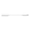 Accesorii audio și video – Adaptoare audio