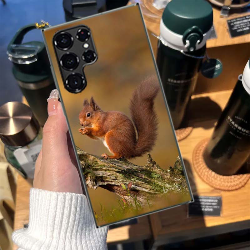 Forest Squirrels Foraging For Food Coque For Samsung S23 S22 Ultra S24 FE S25 Edge Phone Galaxy S21 S20 FE S10 Plus Case Luxury