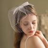 Decorative Fascinator Veil for Women 1920s Flapper Veil Headpiece Mesh Hair Clip  Tea Party Hat Headpiece Wedding