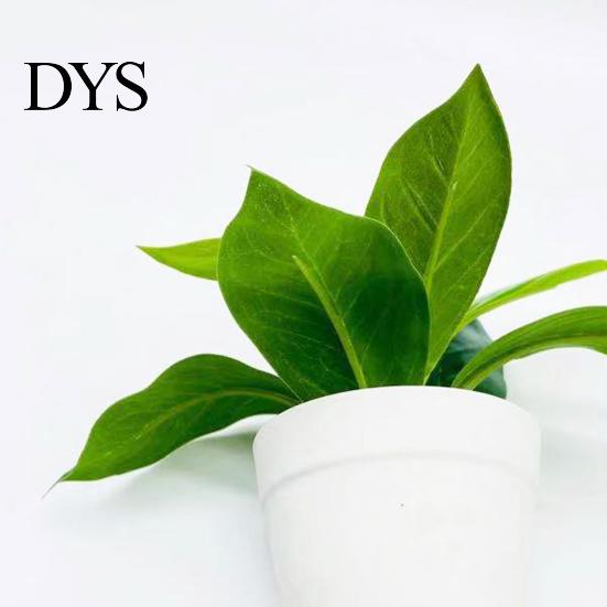 Garden Artificial Potted Plant Realistic Plastic Eye-Catching Decoration Imitative Bonsai Plants for Home
