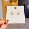 Women's High-End Plain Hoop Earrings: Light Luxury Ear Drops & Studs, Niche Design for Autumn/Winter.
