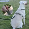 Dog Leash Explosion-proof  Large Dog Chest Strap Reflective Dog Leash Vest Type Pet Leash