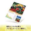 Plus Photo Paper, Super Beautiful Photo Paper, 2L Size, 20 Sheets IT-020LL-PP 46095