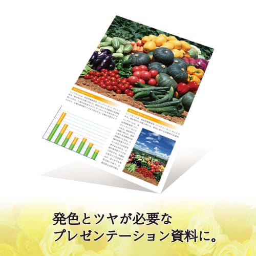 Plus Photo Paper, Super Beautiful Photo Paper, 2L Size, 20 Sheets IT-020LL-PP 46095