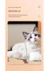 G9s All-in-One Pet Hair Dryer & Grooming Tool for Dogs and Cats