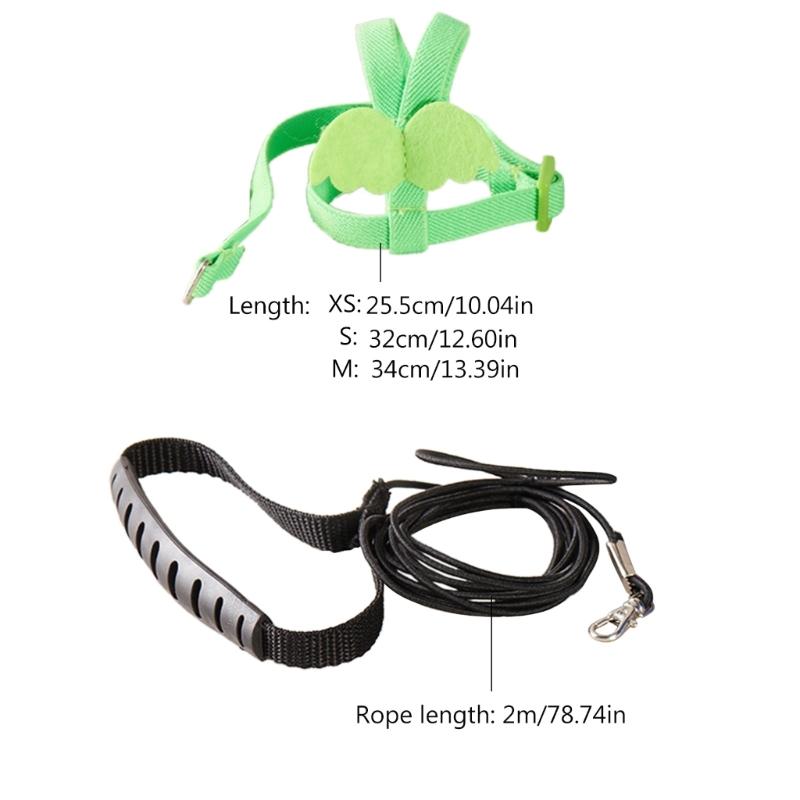 Portable Pet Bird Leash Kits Flying Rope Lightweight Durable Training Supplies