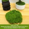 50 г искусственный мох DIY поделки трава искусственный мох искусственный консервированный мох зеленые растения для дома комната сад декор мини ландшафт искусственная трава