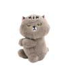 Cartoon Animal Cat Plush Pendant Soft Key Chain Cute Cartoon Clip Doll Toy  Birthday Gift