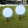 vidaXL Pathway Lights 2 Pcs. LED 30 Cm with Ground Spike