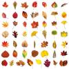 50PCS Realistic Transparent Autumn Leaf Stickers: Waterproof PET Tree Leaves for Decorating Cups and Journals.