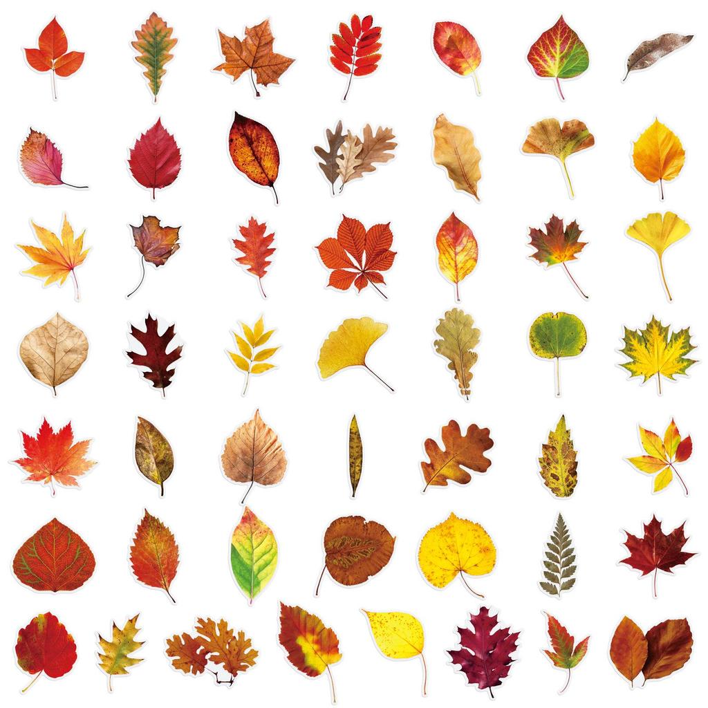 50PCS Realistic Transparent Autumn Leaf Stickers: Waterproof PET Tree Leaves for Decorating Cups and Journals.