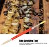 25Pcs Beekeeping Larvae Grafting Needle Bee Queen Rearing Tool Apiculture Equipment