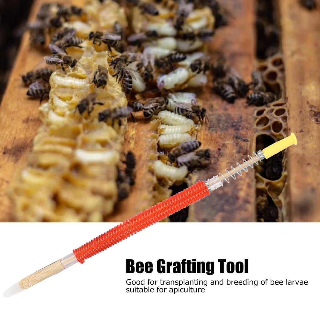 25Pcs Beekeeping Larvae Grafting Needle Bee Queen Rearing Tool Apiculture Equipment