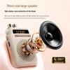 Soaiy S5 Wireless Portable Voice Amplifier with Microphone CN Plug (adapter Included)