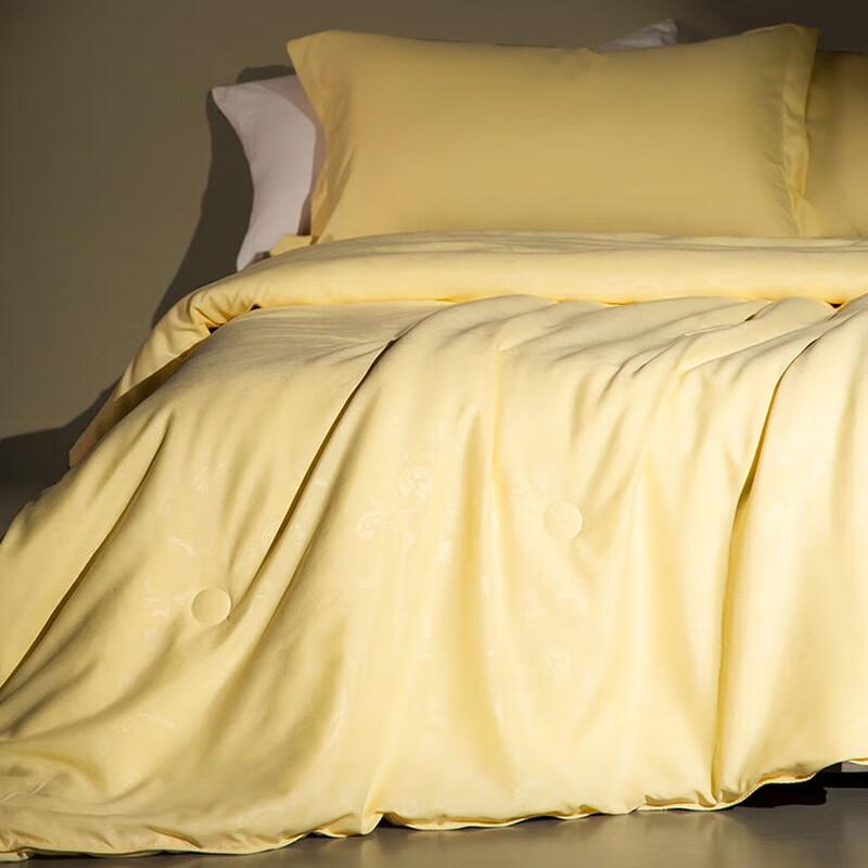 

SILKUEEN Fengyafu Silk Quilt