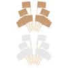 100 Pieces Blank Toothpick Flags Mini Food Labels with Wooden Sticks Cheese Markers Picks for Cupcake Topper Party Decor