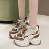 10CM Women's Dad Sneakers High Top Boost Height 9cm Inner Increase Super Thick Bottom Spring Autumn Model Shoes Korean Version