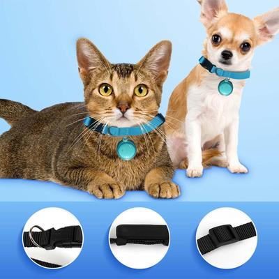 Köpek – Köpek Tasmaları ve Tasma Kayışları