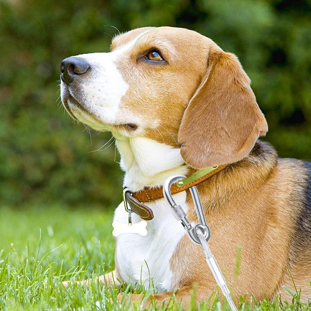 Doppelköpfiges Hund-Ausleinekabel Schwerlast Edelstahl Hundeleine Outdoor-Training