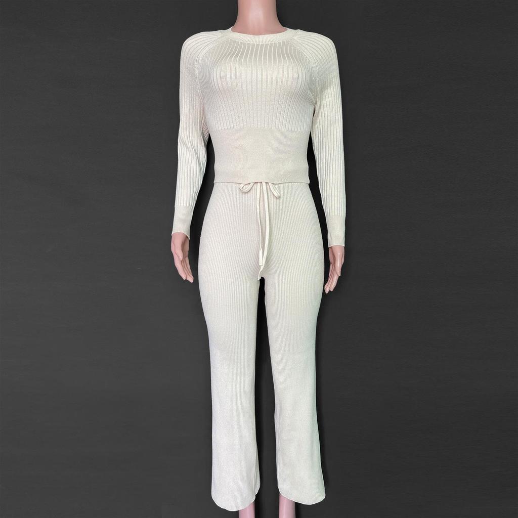 Toamnă Iarnă Femei Gâtul O cu mânecă lungă Culoare uni Pantaloni cu picioare largi Toate se potrivesc cu costume din două piese