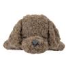 Livheart Body Nemunemu Chocolat Toy Medium Size Fluffy and Squishy Dog Plush Pillow, Cotton, Animals, Poodle, Brown, (Approx. 50cm), Toy, Gift,