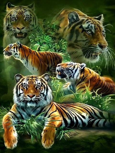 Pittura Diamante Fai da Te Punto Croce Animale Quadrato Completo Ricamo Diamante Tigre Mosaico Decorazione Strass