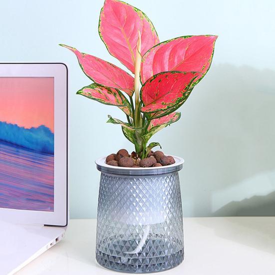 2 Sets Self Watering Flowerpot with Wick Rope Indoor Outdoor Plants Planting Pot with Drainage Hole Clear Reservoir Herbs Flower Planter Pot