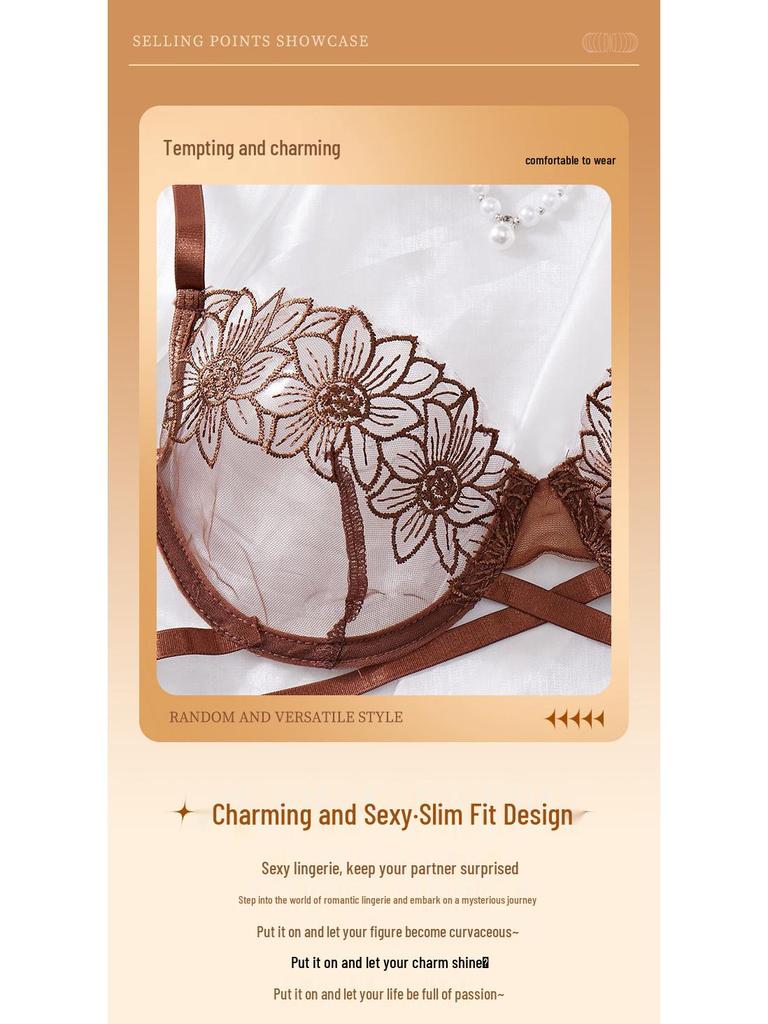 Embroidered Mesh Low-Waist French Lingerie Set