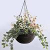DEAYOU 2 Pack Resin Hanging Planters for Indoor Plants, 10" Hanging Flower Pots with Drainage Holes, Hanging Baskets with Chain and Hook for Garden,