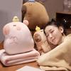 MultiFunctional Cartoon Capybara Pillow Blanket Combo Soft Cotton Throw  Chair Cushions for Kids Teens and Adults