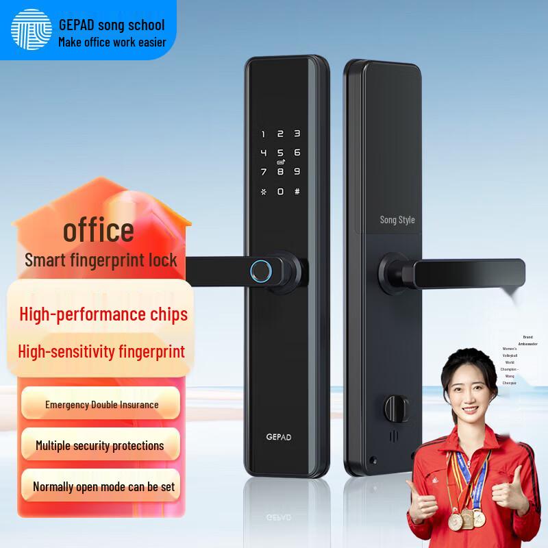 GEPAD PT-ZWS08 Smart Fingerprint Door Lock CN plug (adapter included)