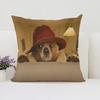 45X45Cm Sofa Decorate Paddington Bear Cushion Set With Double-Sided Printed Pillowcase And Chair Waist Cushion