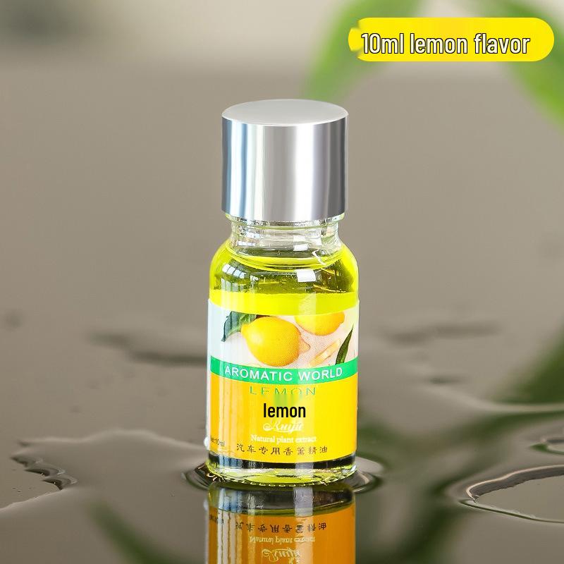 Hanging Car Air Freshener Ornament with 10ml Plant Fragrance Refill