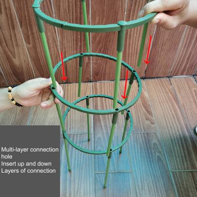 6 Set Universal-Pflanzenstützen aus mehrschichtigem Kunststoff für Kletterpflanzen, Stützgestelle für Gartenbedarf