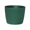 Magnolia Jumper Flowerpot, Green Plastic Cover, 14 Cm