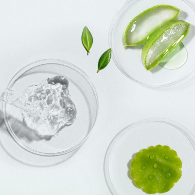 FRUIT OF THE EARTH Aloe Cica Moisture Calming Mist Toner, 1 pc, 250ml