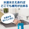Brita Water Bottle Direct Drinking 600ml Portable Water Purifier Bottles Set of 2 with 1 Cartridge Each Fill Go Lime Japanese & [Genuine Product]