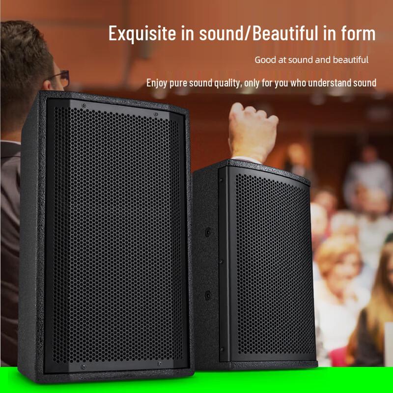 Ridiss AC210 Conference Room Audio System Set