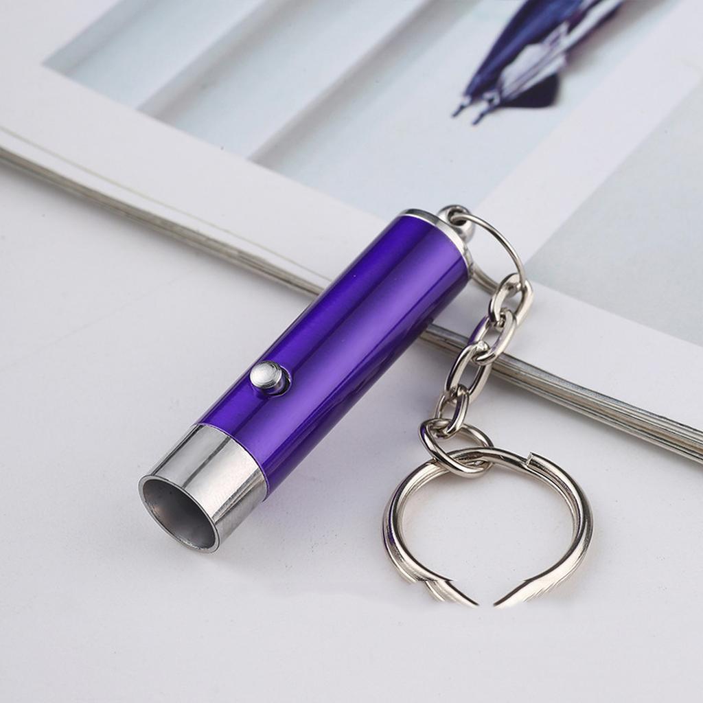 Toy Red Pointer Dog Interactive Training Tools LED Torch Light with Keychain