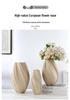 Modern Round Ceramic Vase - Creative Living Room Ornament for Dried Flowers