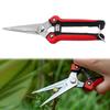 Fruit Picking Small Scissors Stainless Steel Straight Head Branch Pruning Tools Non-slip Handle for Flowers Harvesting Fruits