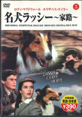 FILM DVD - Słynny pies Lassie PDM018 KEEP Filmy i DVD Używane