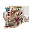 book-loving dragon digital-printed polyester Bedroom velvet flannel soft sofa cover blanket Fleece soft cover blankets for beds