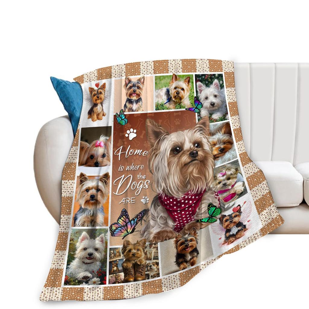 book-loving dragon digital-printed polyester Bedroom velvet flannel soft sofa cover blanket Fleece soft cover blankets for beds
