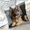 1 piece, German Shepherd Dog Decorative Pillowcase