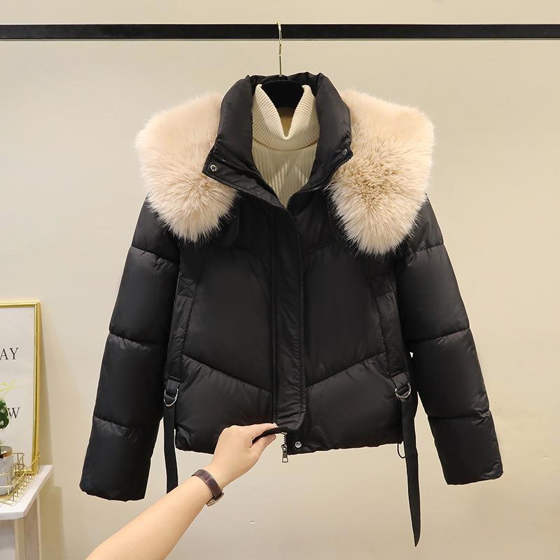 Winter Women's Cotton-padded Jacket, Short, All-match Fashion, Stand-up Collar, Cotton-padded Jacket, Women's Thick, Warm and Loose Style