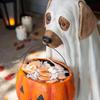 Halloween Creative Dog Elf Decorations Holiday Party Decorations Home Art Ornaments Fun Decorative Accessories Wholesale